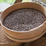 Don Carlo Di Charme Bio 农家乐 Le Pioppe