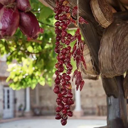 Don Carlo Di Charme Bio 팜스테이 *