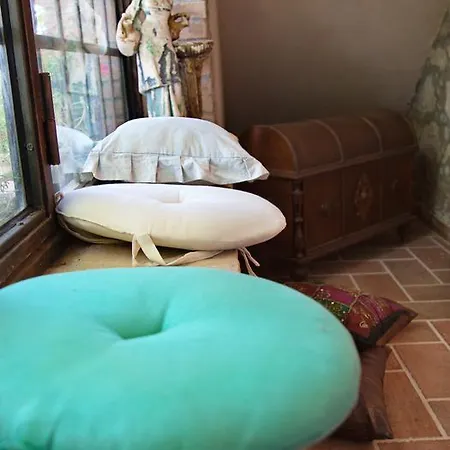 팜스테이 Don Carlo Di Charme Bio *