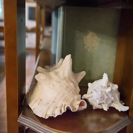 팜스테이 Don Carlo Di Charme Bio