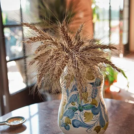 Don Carlo Di Charme Bio 팜스테이