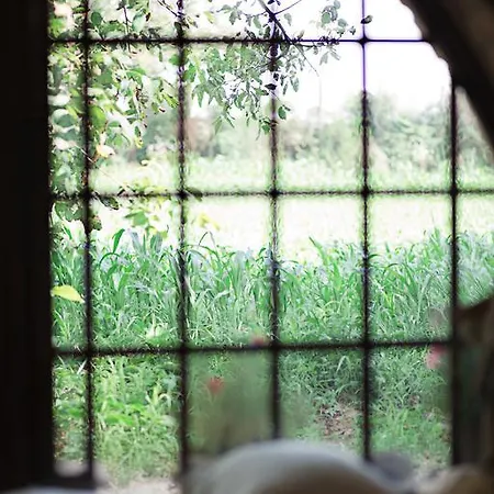 Don Carlo Di Charme Bio * Le Pioppe