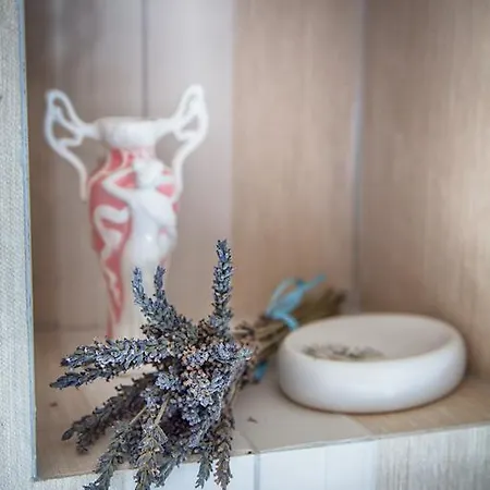 Don Carlo Di Charme Bio 팜스테이 *