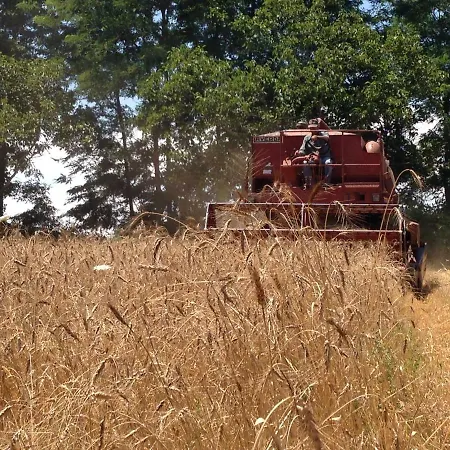 Farmház Don Carlo Di Charme Bio *