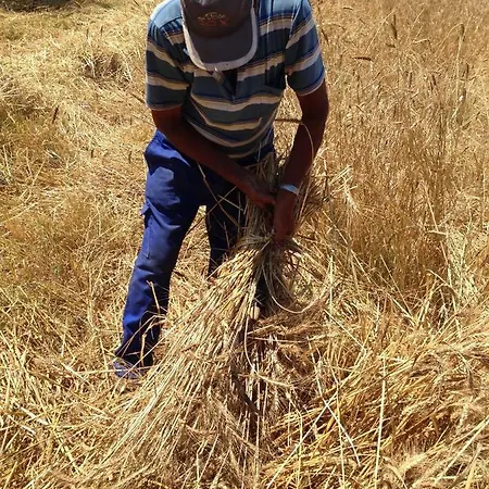 Don Carlo Di Charme Bio 팜스테이 *