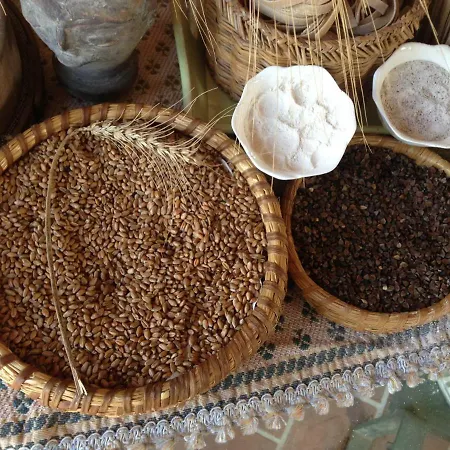 팜스테이 Don Carlo Di Charme Bio *