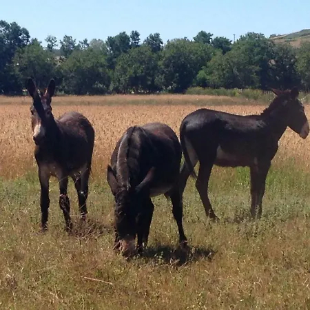Don Carlo Di Charme Bio Farmház Le Pioppe