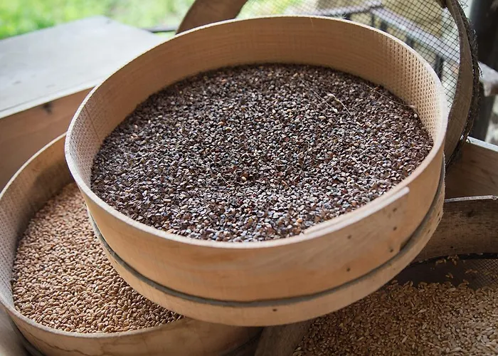 Don Carlo Di Charme Bio בית חווה Le Pioppe