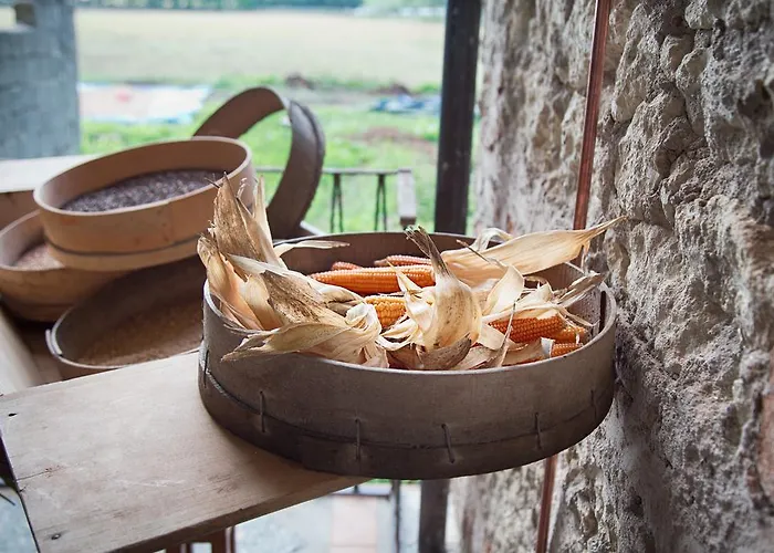 בית חווה Don Carlo Di Charme Bio Le Pioppe