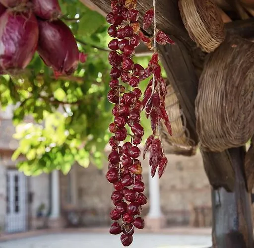 Don Carlo Di Charme Bio בית חווה *