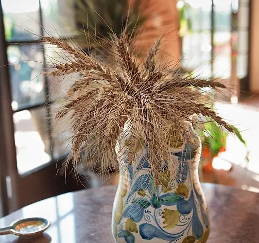 Don Carlo Di Charme Bio Farmház