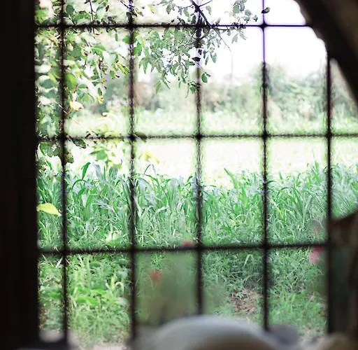 Don Carlo Di Charme Bio * Le Pioppe