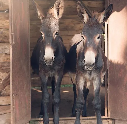 Farmház Don Carlo Di Charme Bio