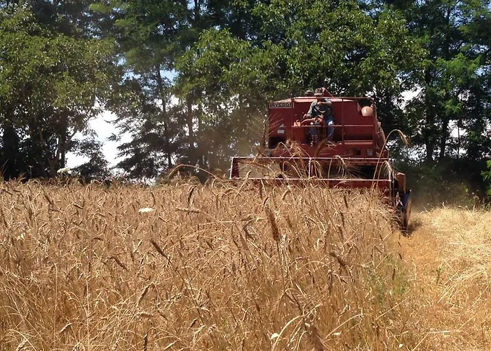 בית חווה Don Carlo Di Charme Bio *