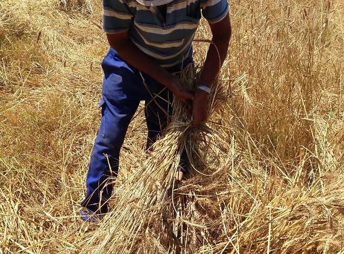 Don Carlo Di Charme Bio Farmház *